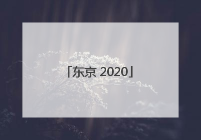 「东京 2020」东京2020年GDP