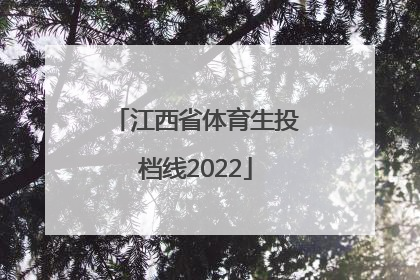 「江西省体育生投档线2022」江西省体育生投档线202