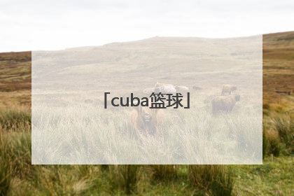 「cuba篮球」cuba篮球联赛排名