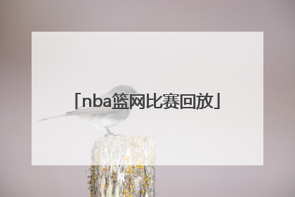 「nba篮网比赛回放」nba篮网比赛回放录像高清